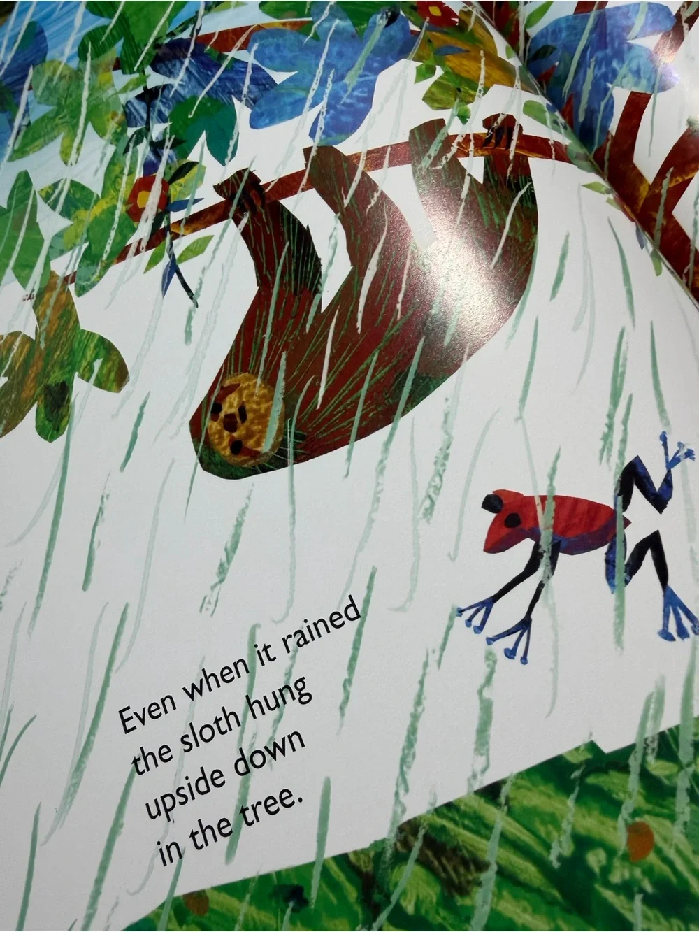 'Slowly, Slowly, Slowly, Said the Sloth' - Brown Sloth Hardcover Book.